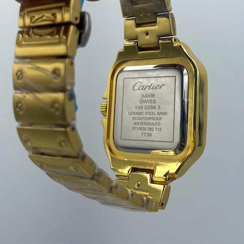 Carter Gold Stainless Steel Watch with Roman Numeral